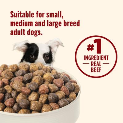 Rachael Ray Nutrish Real Beef, Pea, & Brown Rice Recipe Dry Dog Food