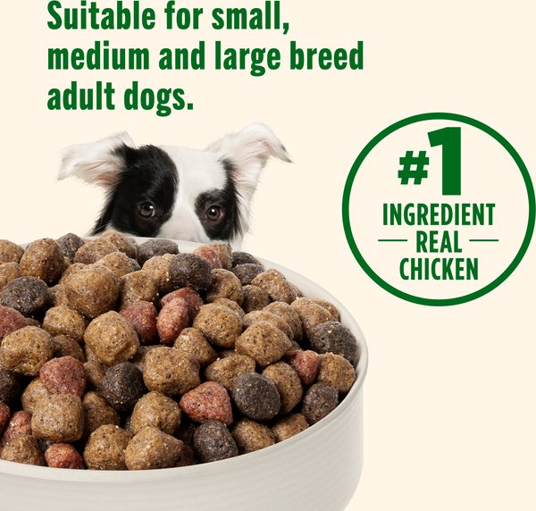 Show full view: Nutrish Whole Health Blend Real Chicken & Veggies Recipe Dry Dog Food, 40-lb bag slide 6 of 13