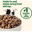 Show in main carousel: Nutrish Whole Health Blend Real Chicken & Veggies Recipe Dry Dog Food, 40-lb bag slide 6 of 13