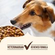 Show in main carousel: Nutrish Whole Health Blend Real Chicken & Veggies Recipe Dry Dog Food, 40-lb bag slide 7 of 13