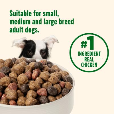 Show full view: Nutrish Whole Health Blend Real Chicken & Veggies Recipe Dry Dog Food, 50-lb bag slide 6 of 13