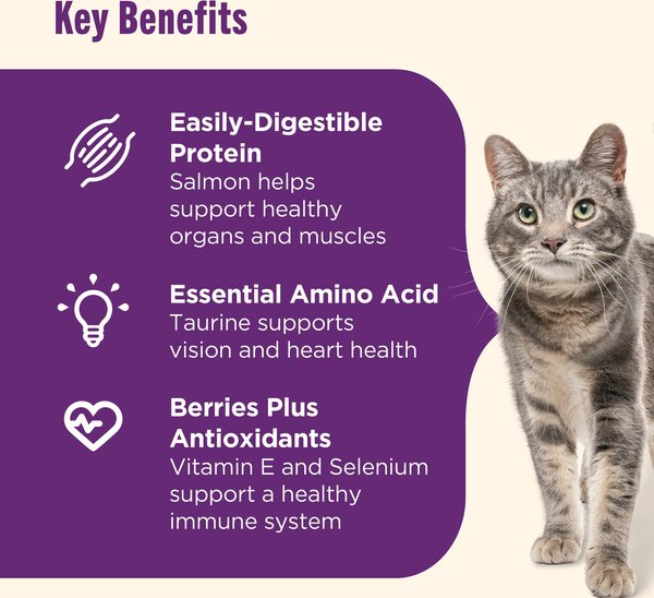 Nutrish Senior Healthy Aging Chicken, Chickpea & Salmon Recipe Dry Cat Food, 13-lb bag