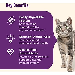 Nutrish Senior Healthy Aging Chicken, Chickpea & Salmon Recipe Dry Cat Food, 13-lb bag (Rachael Ray)