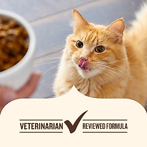 Nutrish Senior Healthy Aging Chicken, Chickpea & Salmon Recipe Dry Cat Food, 13-lb bag (Rachael Ray)