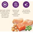 Nutrish Longevity Chicken with Chickpeas & Salmon Recipe Dry Cat Food, Chickpea & Salmon Recipe Dry Cat Food