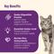 Show in main carousel: Nutrish Senior Healthy Aging Chicken, Chickpeas & Salmon Recipe Dry Cat Food, 3-lb bag (Rachael Ray) slide 4 of 12