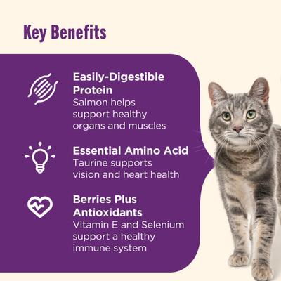 Show full view: Nutrish Senior Healthy Aging Chicken, Chickpeas & Salmon Recipe Dry Cat Food, 3-lb bag (Rachael Ray) slide 4 of 12