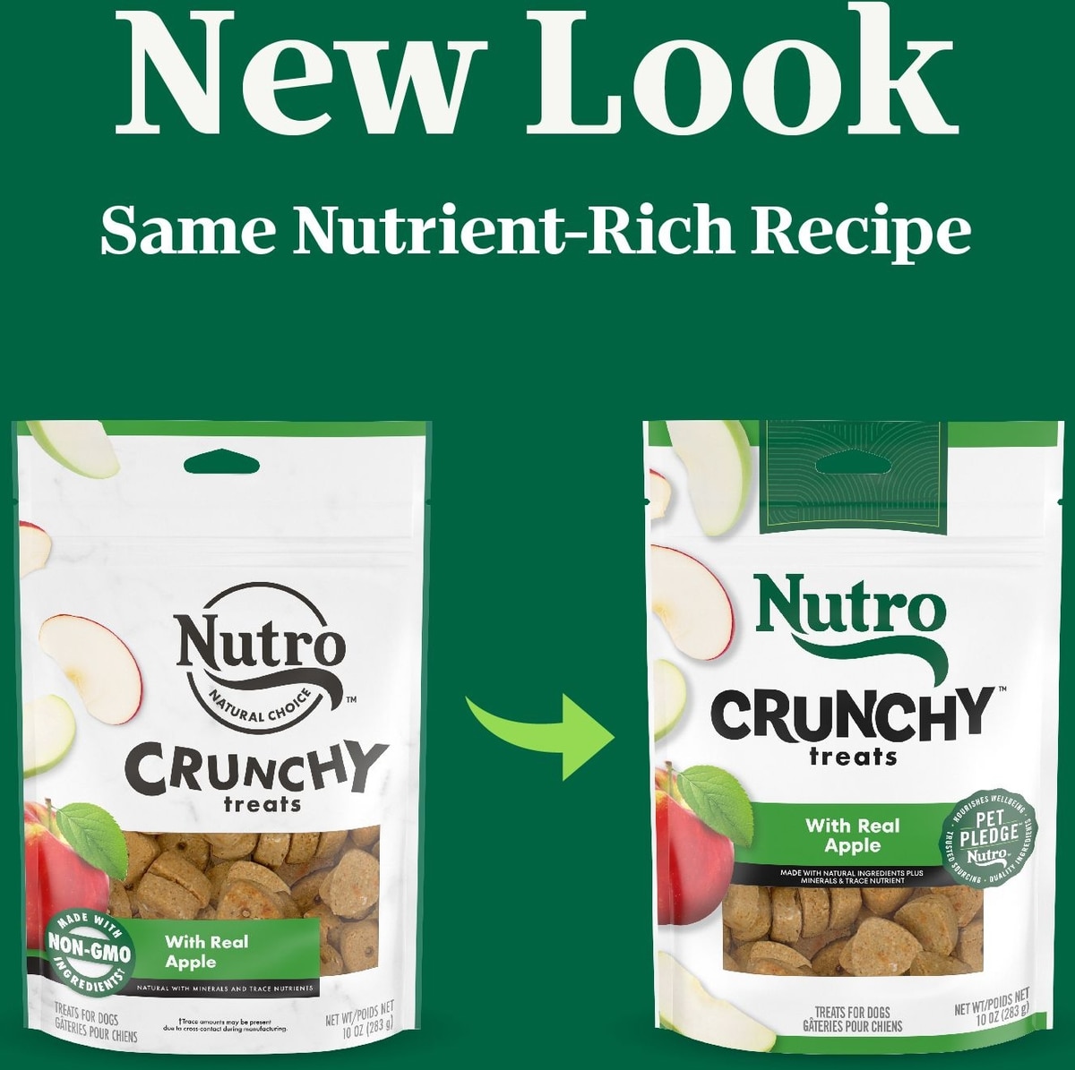 NUTRO Crunchy with Real Apple Dog Treats, 10-oz bag