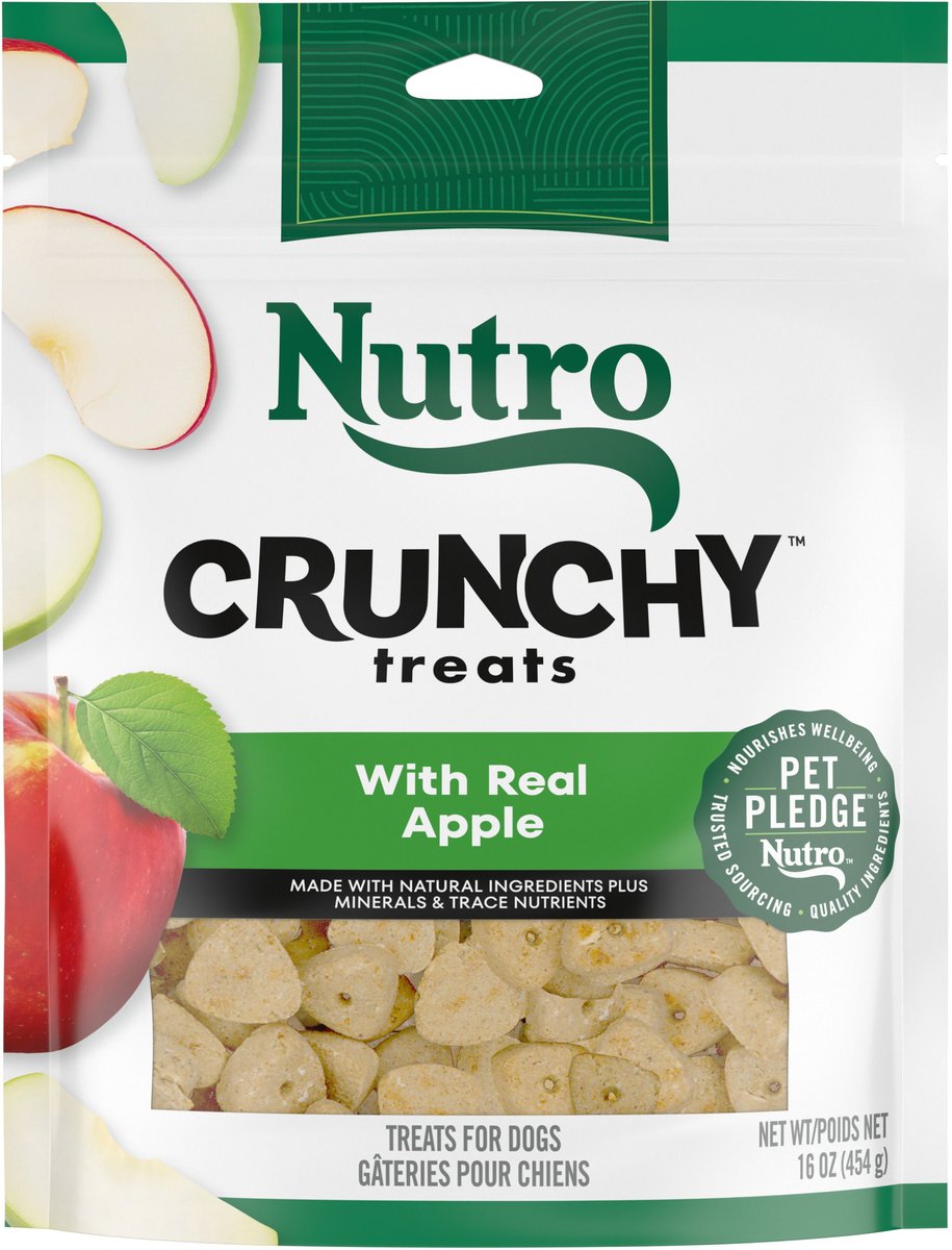 Nutro Crunchy with Real Apple Dog Treats