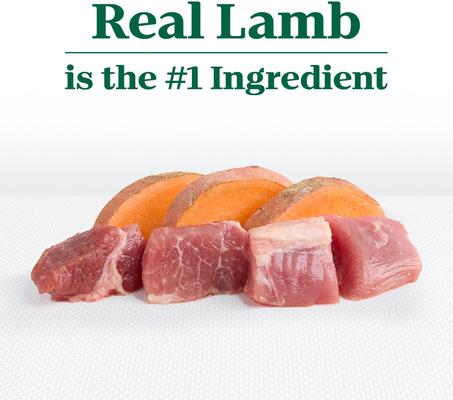 Show full view: Nutro Limited Ingredient Diet Adult Sensitive Support with Real Lamb & Sweet Potato Grain-Free Dry Dog Food, 22-lb bag slide 8 of 10