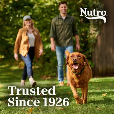 Show full view: Nutro Natural Choice Adult Chicken & Brown Rice Recipe Dry Dog Food, 30-lb bag slide 9 of 9