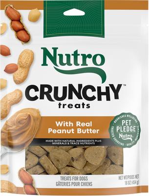 Show full view: Nutro Natural Choice Small Bites Adult Chicken & Brown Rice Recipe Dry Dog Food, 30-lb bag + Nutro Crunchy with Real Peanut Butter Dog Treats, 16-oz bag slide 2 of 9