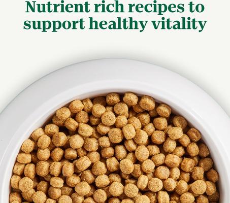 Show full view: Nutro Natural Choice Small Bites Adult Chicken & Brown Rice Recipe Dry Dog Food, 30-lb bag + Nutro Crunchy with Real Peanut Butter Dog Treats, 16-oz bag slide 8 of 9