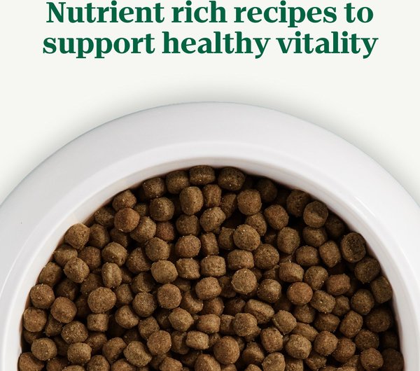 Brown Rice Nutro Dog Food Uk Brown Rice Recipe Chewy Nutro