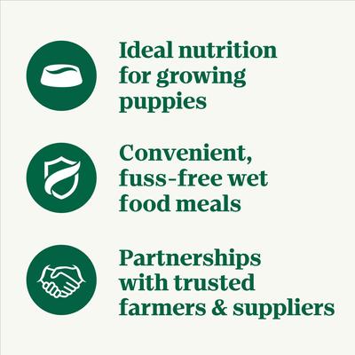 Show full view: Nutro Puppy Tender Beef, Pea & Carrot Recipe Bites In Gravy Grain-Free Wet Dog Food, 3.5-oz, case of 24 slide 5 of 11