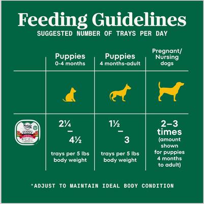 Show full view: Nutro Puppy Tender Beef, Pea & Carrot Recipe Bites In Gravy Grain-Free Wet Dog Food, 3.5-oz, case of 24 slide 8 of 11