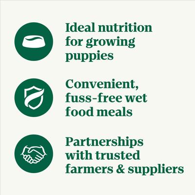 Show full view: Nutro Puppy Tender Grain-Free Chicken, Sweet Potato & Pea Recipe Bites in Gravy Wet Dog Food Trays, 3.5-oz, case of 24 slide 5 of 11