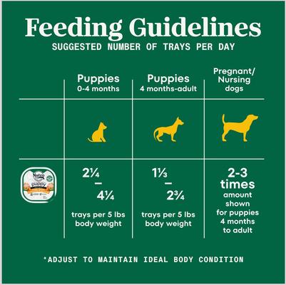 Show full view: Nutro Puppy Tender Grain-Free Chicken, Sweet Potato & Pea Recipe Bites in Gravy Wet Dog Food Trays, 3.5-oz, case of 24 slide 8 of 11