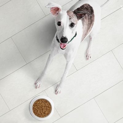 Show full view: Nutro Ultra Adult Dry Food + Crunchy with Real Mixed Berries Dog Treats slide 9 of 9