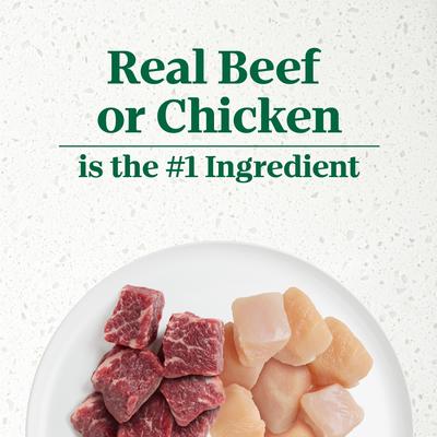 Show full view: Nutro Ultra Grain-Free Filets in Gravy Bistro Mix Variety Pack Adult Wet Dog Food Trays, 3.5-oz, case of 12 slide 5 of 11