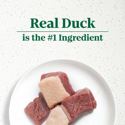 Show full view: Nutro Ultra Grain-Free Filets in Gravy Signature Duck Entree Adult Wet Dog Food Trays, 3.5-oz, case of 24 slide 5 of 11