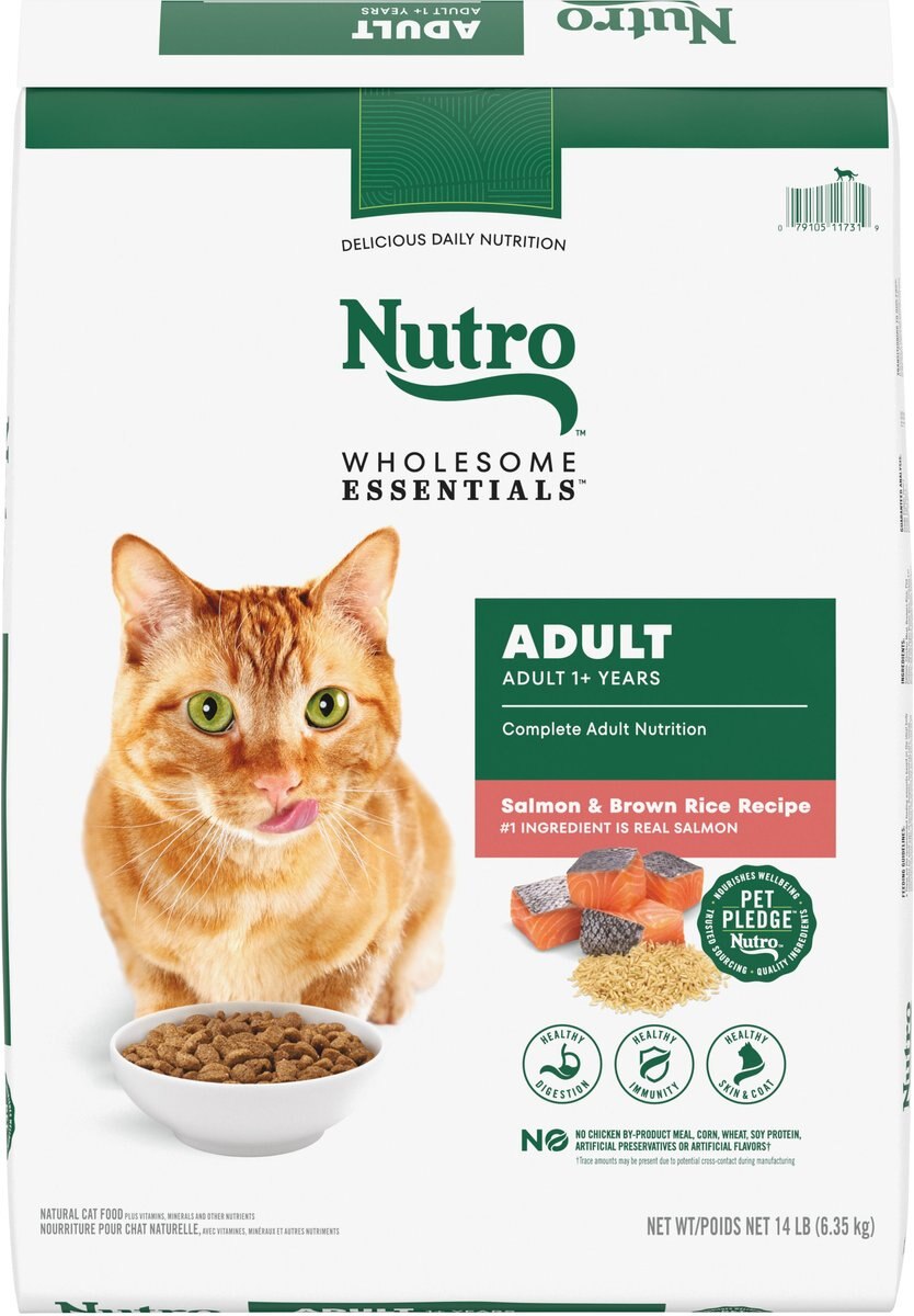 Nutro Wholesome Essentials Adult Salmon, Brown Rice & Sweet Potato Recipe Dry Dog Food