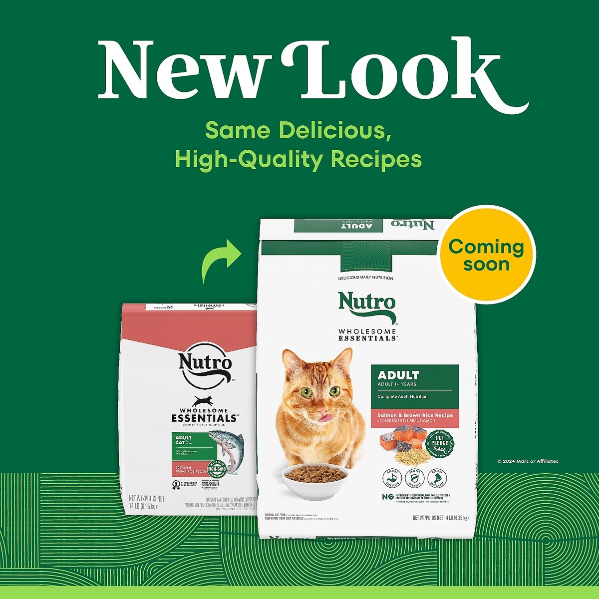 NUTRO Wholesome Essentials Salmon & Brown Rice Recipe Dry Cat Food, 28 ...