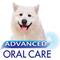 Show in main carousel: Nylabone Advanced Oral Care Bacon Flavor Senior Dog Dental Kit slide 10 of 11