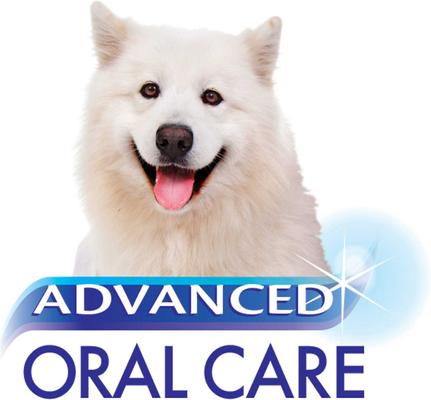 Show full view: Nylabone Advanced Oral Care Bacon Flavor Senior Dog Dental Kit slide 10 of 11