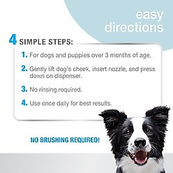 Nylabone Advanced Oral Care Dog Dental Foam, 3-oz bottle slide 2 of 9