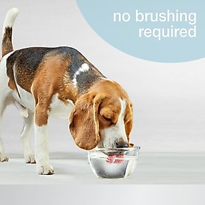 Nylabone Advanced Oral Care Dog Dental Water Additive, 16-fl oz bottle