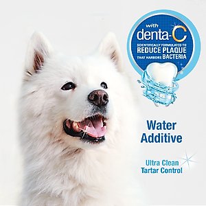 Nylabone Advanced Oral Care Dog Dental Water Additive, 16-fl oz bottle
