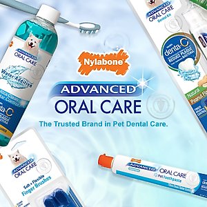 Nylabone Advanced Oral Care Dog Dental Water Additive, 16-fl oz bottle