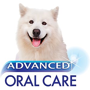 Nylabone Advanced Oral Care Dog Dental Water Additive, 16-fl oz bottle