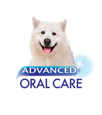 Show full view: Nylabone Advanced Oral Care Dog Dental Water Additive, 16-fl oz bottle slide 10 of 12