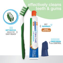 Nylabone Advanced Oral Care Natural Peanut Flavor Dog Dental Kit slide 2 of 9