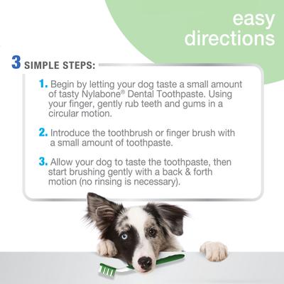 Show full view: Nylabone Advanced Oral Care Natural Peanut Flavor Dog Dental Kit slide 4 of 12