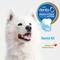 Show in main carousel: Nylabone Advanced Oral Care Natural Peanut Flavor Dog Dental Kit slide 5 of 12