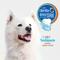 Show in main carousel: Nylabone Advanced Oral Care Natural Peanut Flavor Dog Toothpaste, 2.5-oz tube slide 5 of 12