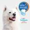 Show in main carousel: Nylabone Advanced Oral Care Natural Peanut Flavor Toothpaste, 2.5-oz tube + Finger Brush Dog Toothbrush, 2-pack slide 5 of 10