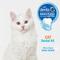 Show in main carousel: Nylabone Advanced Oral Care Original Flavor Cat Dental Kit, 3 count slide 5 of 11