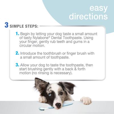 Show full view: Nylabone Advanced Oral Care Original Flavor Dog Dental Kit slide 5 of 12