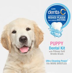 Nylabone Advanced Oral Care Peanut Butter Flavor Toothpaste, 2.5-oz tube + Soft-Bristle Toothbrush for Puppies, 3-pack slide 2 of 8