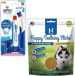 Nylabone Advanced Oral Care Puppy Dental Kit + N-Bone Teething Treats