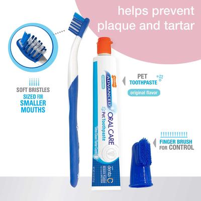 Show full view: Nylabone Advanced Oral Care Puppy Dental Kit + Teething Pacifier Chew Toy slide 4 of 9