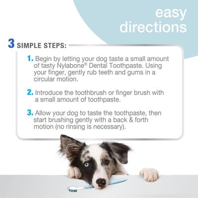Show full view: Nylabone Advanced Oral Care Tartar Control Original Flavor Dog Toothpaste, 2.5-oz tube slide 4 of 12