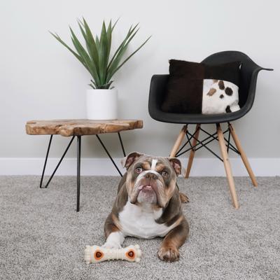 Show full view: Nylabone All-Natural Pop-In Dog Treat Refills Knuckle Bone Pop-In Refill Chicken Pop-In 30 Pack slide 3 of 12