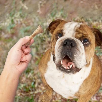 Show full view: Nylabone Broth Bones for Small Dogs, 20 count slide 9 of 11