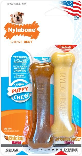 Nylabone Classic Puppy Chew Flavored Durable Chicken & Peanut Butter Brown Dog Chew Toy