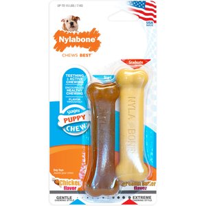 Nylabone Puppy Power Chew Knuckle Bone & Pop-In Puppy Treat Toy Combo